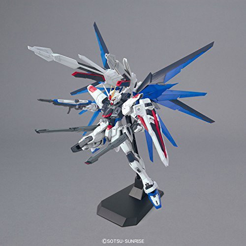 MG 1/100 192 フリーダムガンダム ver.2.0