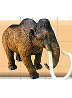 立体パズル 4D VISION 動物解剖 No.08 マンモス解剖モデル