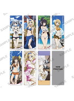 BOX販売 IS＜インフィニット・ストラトス＞ シャワーポスターコレクション