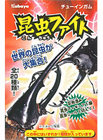 BOX販売 昆虫ファイト