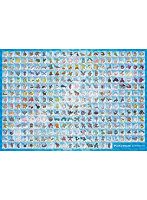 Dmm Com ポケットモンスター サン ムーン 500ラージピース ジグソーパズル No 500t L12 アローラ図鑑 ホビー通販