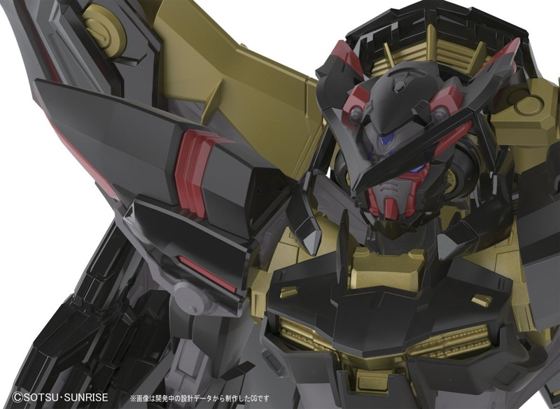 RG 1/144 ガンダムアストレイゴールドフレーム 天ミナ
