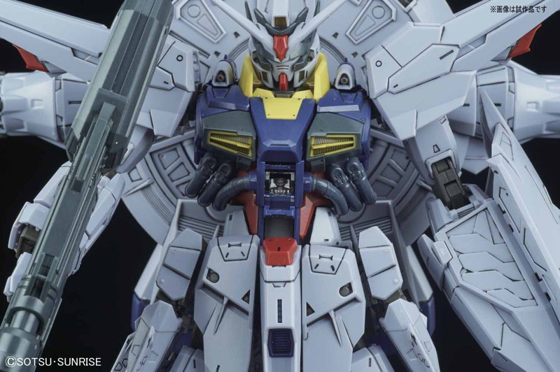 MG 1/100 196 プロヴィデンスガンダム
