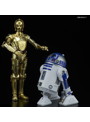  1/12 C-3PO ＆ R2-D2 