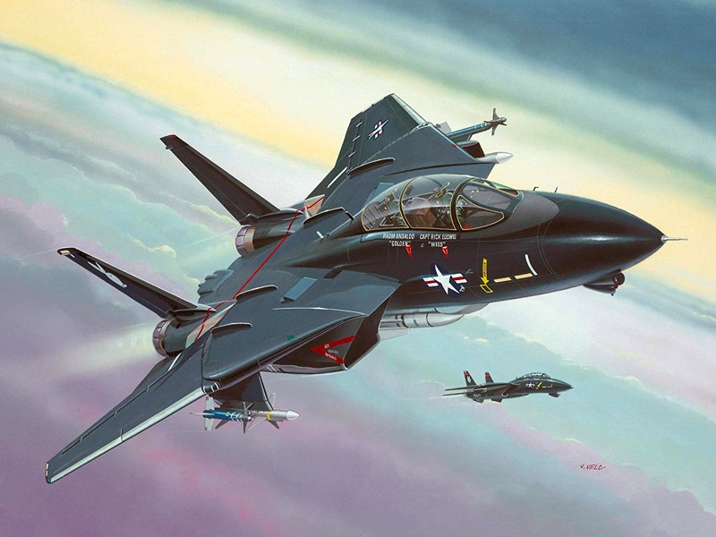 [ドイツレベル F-14A トムキャット ブラックバニー] ホビー・おもちゃ通販