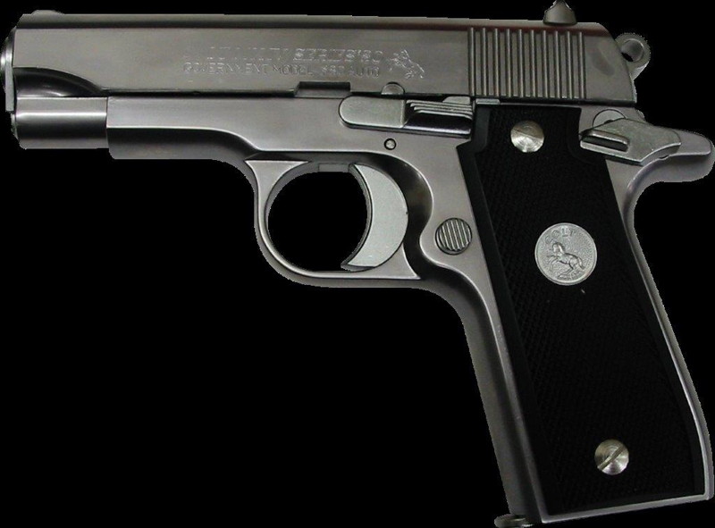 COLT 380AUTO ステンレス 11,941円