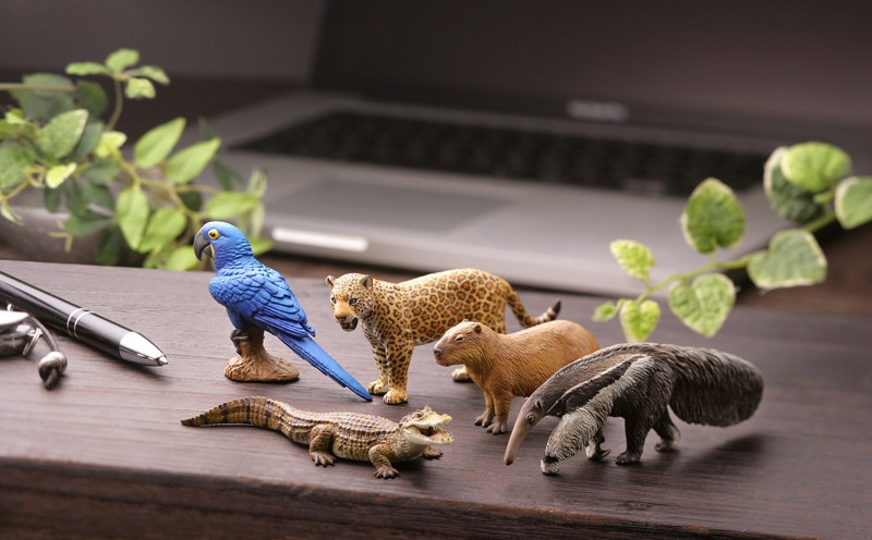 BOX販売 WILD RUSH 真・世界動物誌II ～第二章 南アメリカ・アマゾン編～