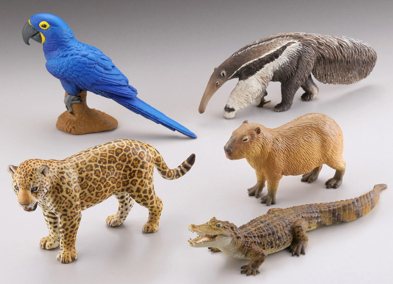 BOX販売 WILD RUSH 真・世界動物誌II ～第二章 南アメリカ・アマゾン編～