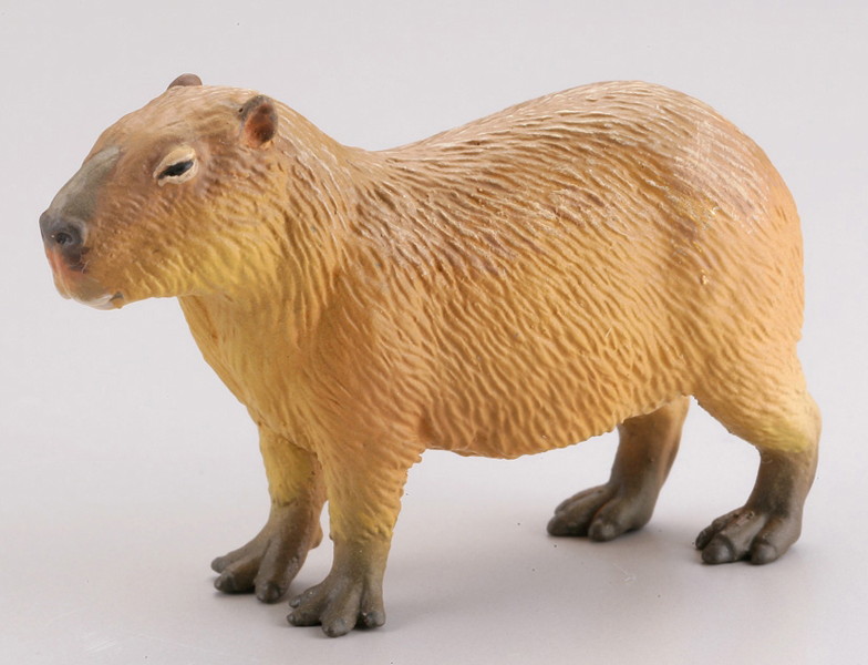 BOX販売 WILD RUSH 真・世界動物誌II ～第二章 南アメリカ・アマゾン編～