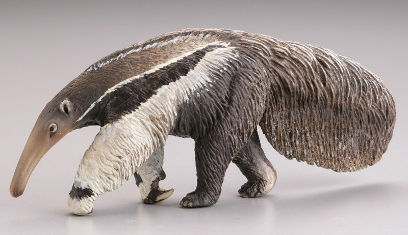 BOX販売 WILD RUSH 真・世界動物誌II ～第二章 南アメリカ・アマゾン編～