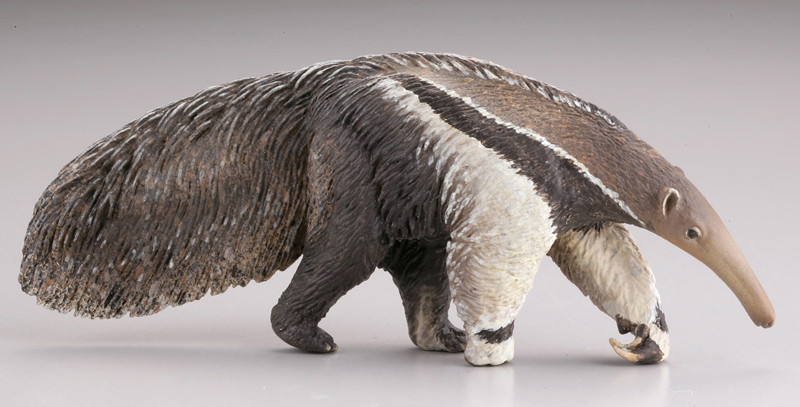 BOX販売 WILD RUSH 真・世界動物誌II ～第二章 南アメリカ・アマゾン編～