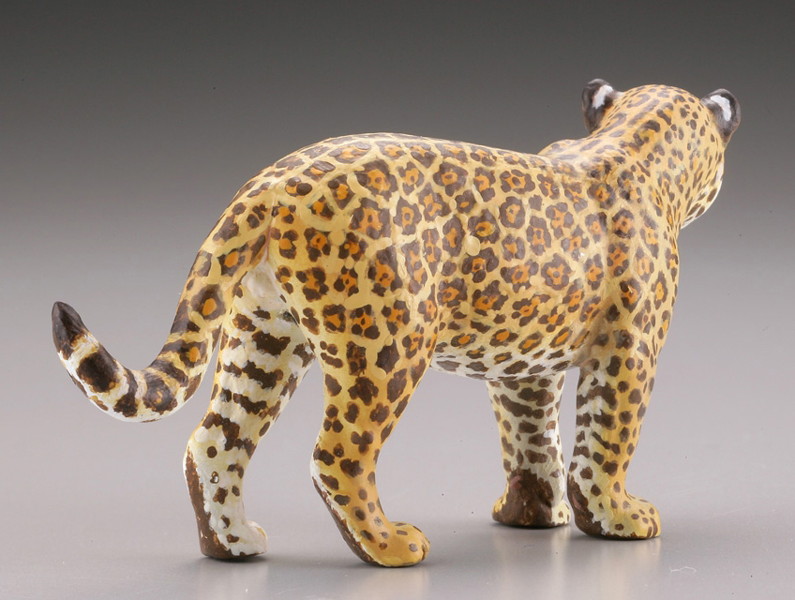 BOX販売 WILD RUSH 真・世界動物誌II ～第二章 南アメリカ・アマゾン編～