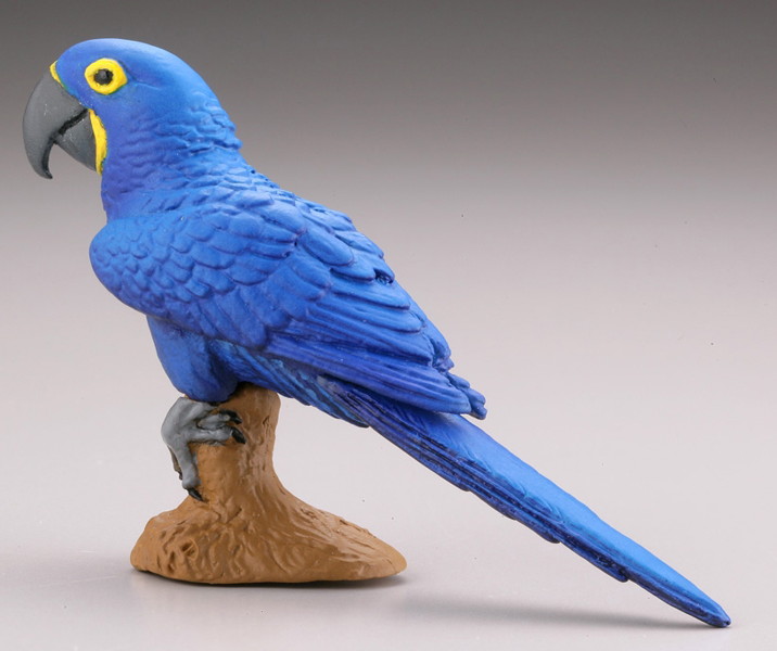 BOX販売 WILD RUSH 真・世界動物誌II ～第二章 南アメリカ・アマゾン編～