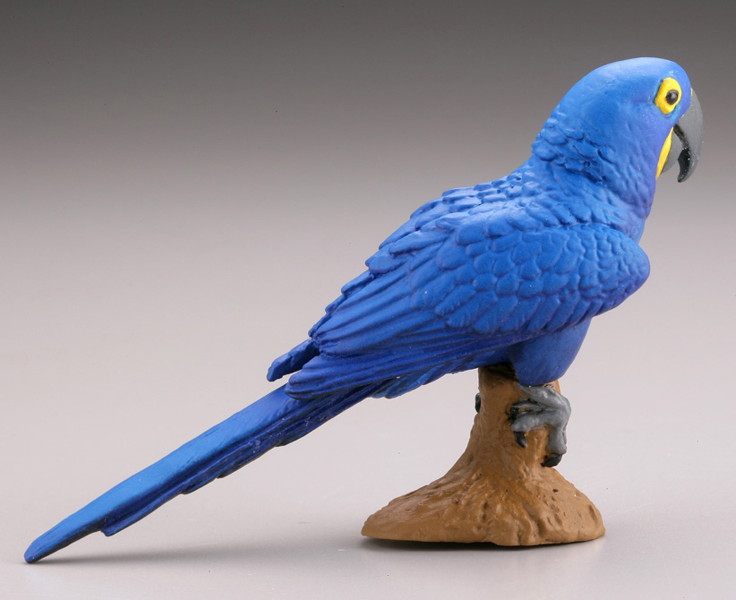 BOX販売 WILD RUSH 真・世界動物誌II ～第二章 南アメリカ・アマゾン編～