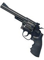 ホップリボルバー（18才） 6M19 6インチ（B）