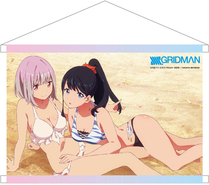 DMM.com [SSSS.GRIDMAN B2タペストリー 宝多六花＆新条アカネ（水着