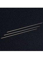 ドイツ軍 2mアンテナ（3本入）