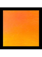 ミラージュレッドシール（1枚入）