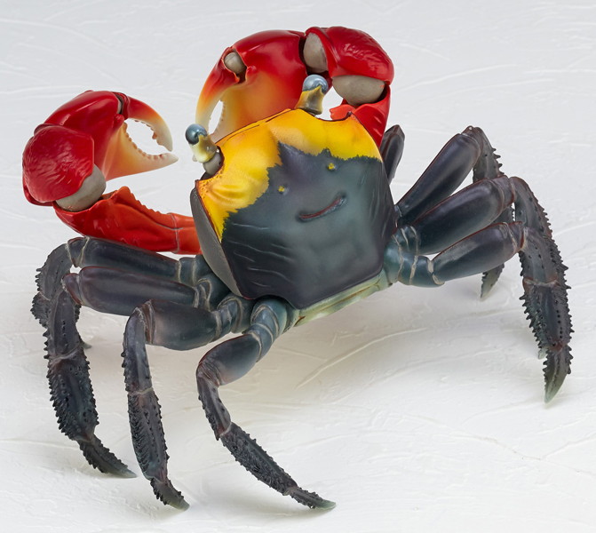 リボジオ アカテガニ