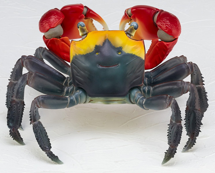 リボジオ アカテガニ