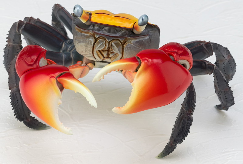 リボジオ アカテガニ