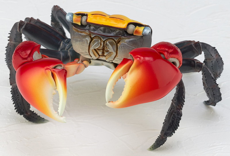 リボジオ アカテガニ