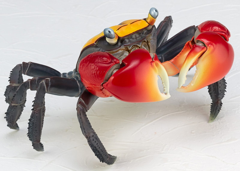 リボジオ アカテガニ