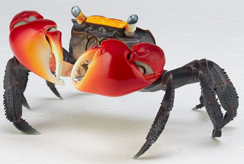 リボジオ アカテガニ