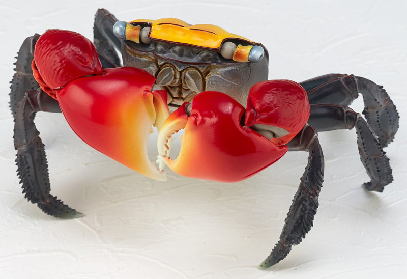 リボジオ アカテガニ