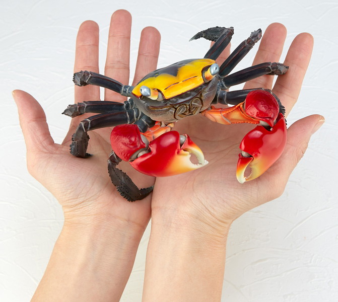 リボジオ アカテガニ