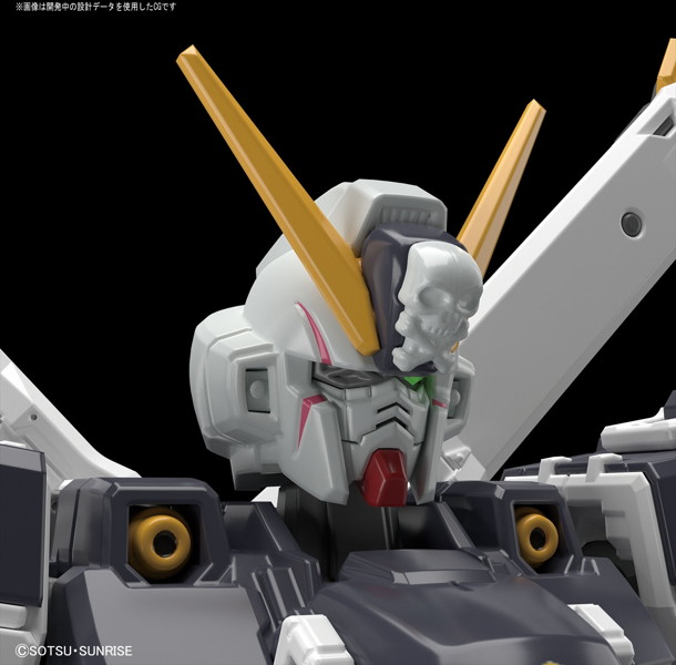 RG 1/144 クロスボーン・ガンダムX1