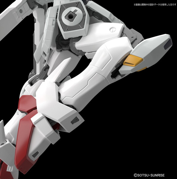 RG 1/144 クロスボーン・ガンダムX1