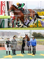 ［2018/2/25阪神9Rキタノコマンドール］写真セット2L判