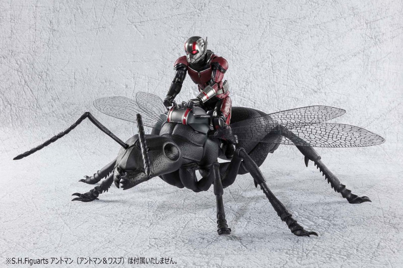 S.H.Figuarts 蟻（アントマン＆ワスプ）
