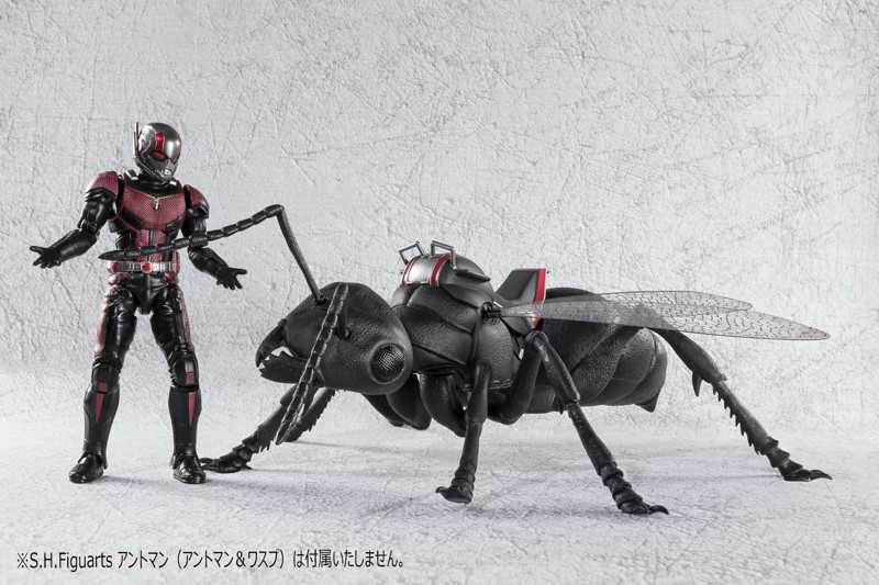 S.H.Figuarts 蟻（アントマン＆ワスプ）