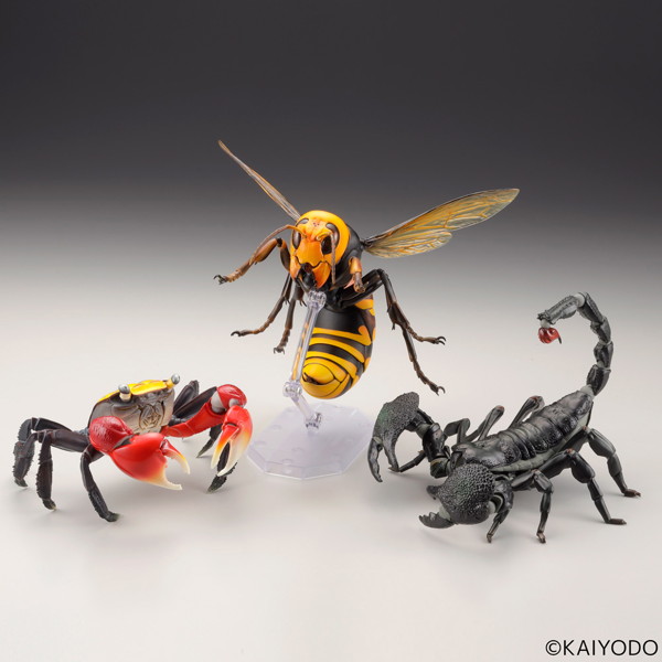 リボジオ オオスズメバチ