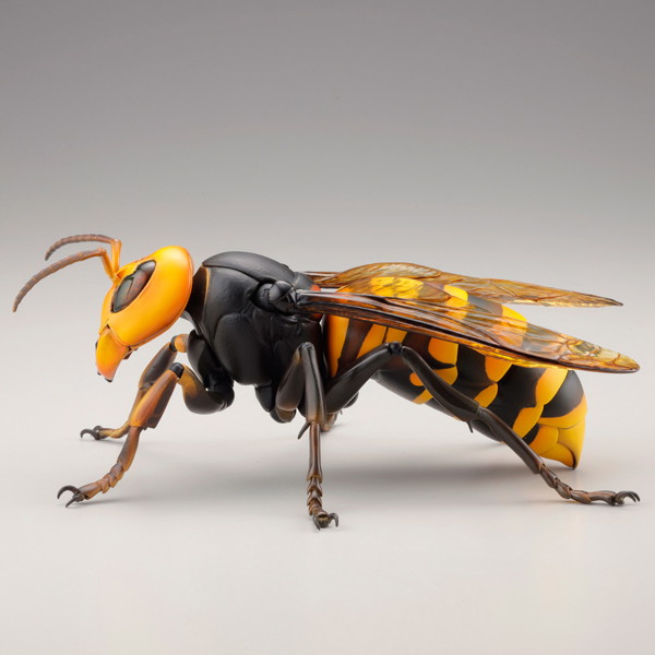 リボジオ オオスズメバチ