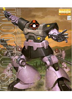 MG 1/100 21 ドム
