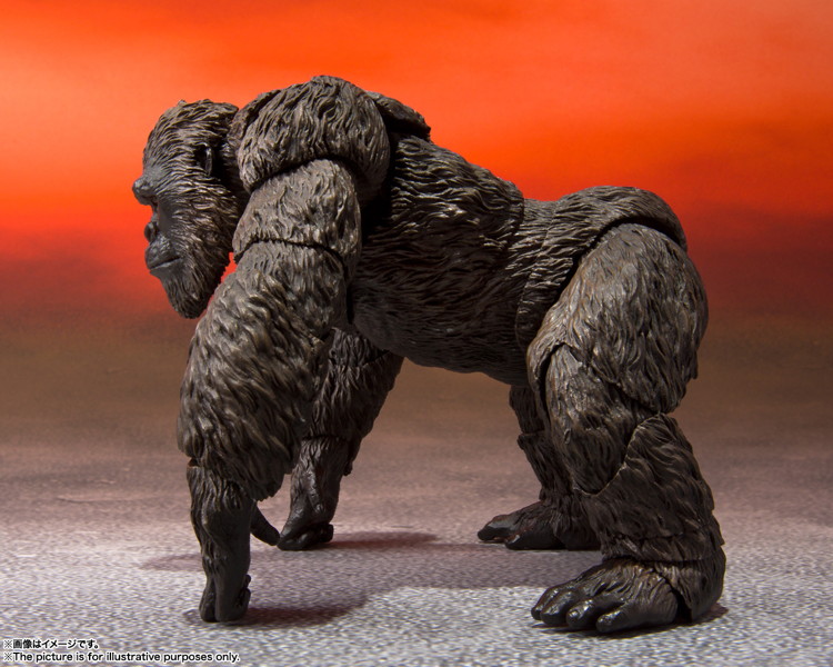 S.H.MonsterArts KONG FROM GODZILLA VS. KONG（2021）