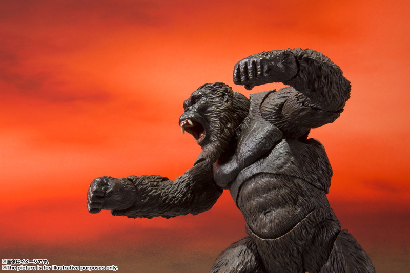 S.H.MonsterArts KONG FROM GODZILLA VS. KONG（2021）