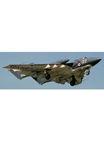 1/72 シービクセン FAW2 70周年記念