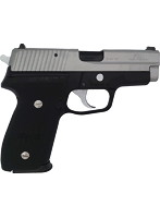 Sig P228 Two-Tone FrameHeavyWeight Evolution2 ModelGun