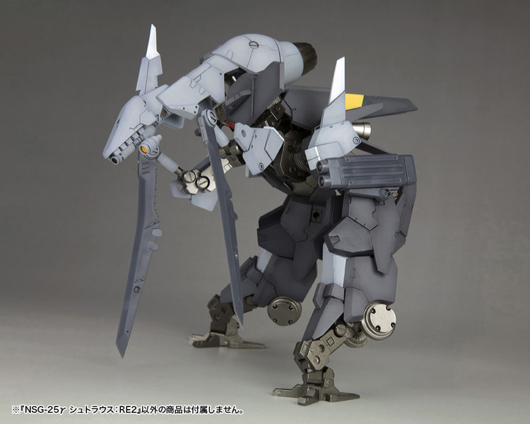 NSG-25γ シュトラウス:RE2