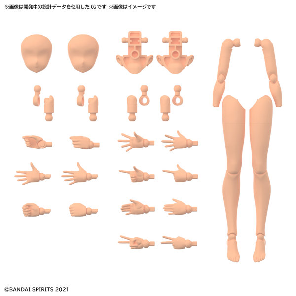 30MS オプションボディパーツ アームパーツ＆レッグパーツ［カラーC］