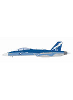 1/48 アメリカ海軍 電子戦機 EA-18G グラウラー VAQ-129 ヴァイキングス 海軍航空100周年記念塗装機