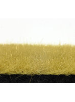 ノッホ 草地用パイル・ベージュ（パイル長6.0mm）