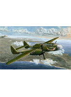 DMM.com [【再販】グレートウォールホビー 1/48 WWII アメリカ陸軍航空