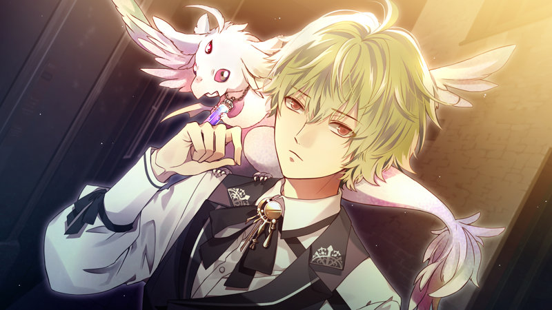 闇色の魔珠 豪華特装版