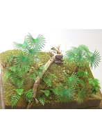 1/35 ジャングルB