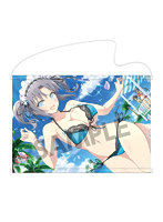 DMM.com [閃乱カグラNewWave Gバースト 雪泉 ～中華の休日～] ホビー